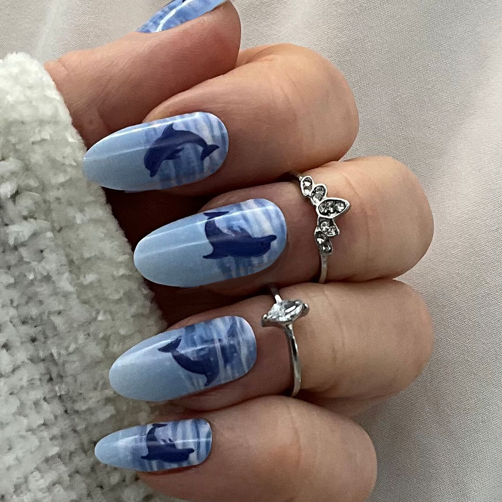 Dolphins - Blue