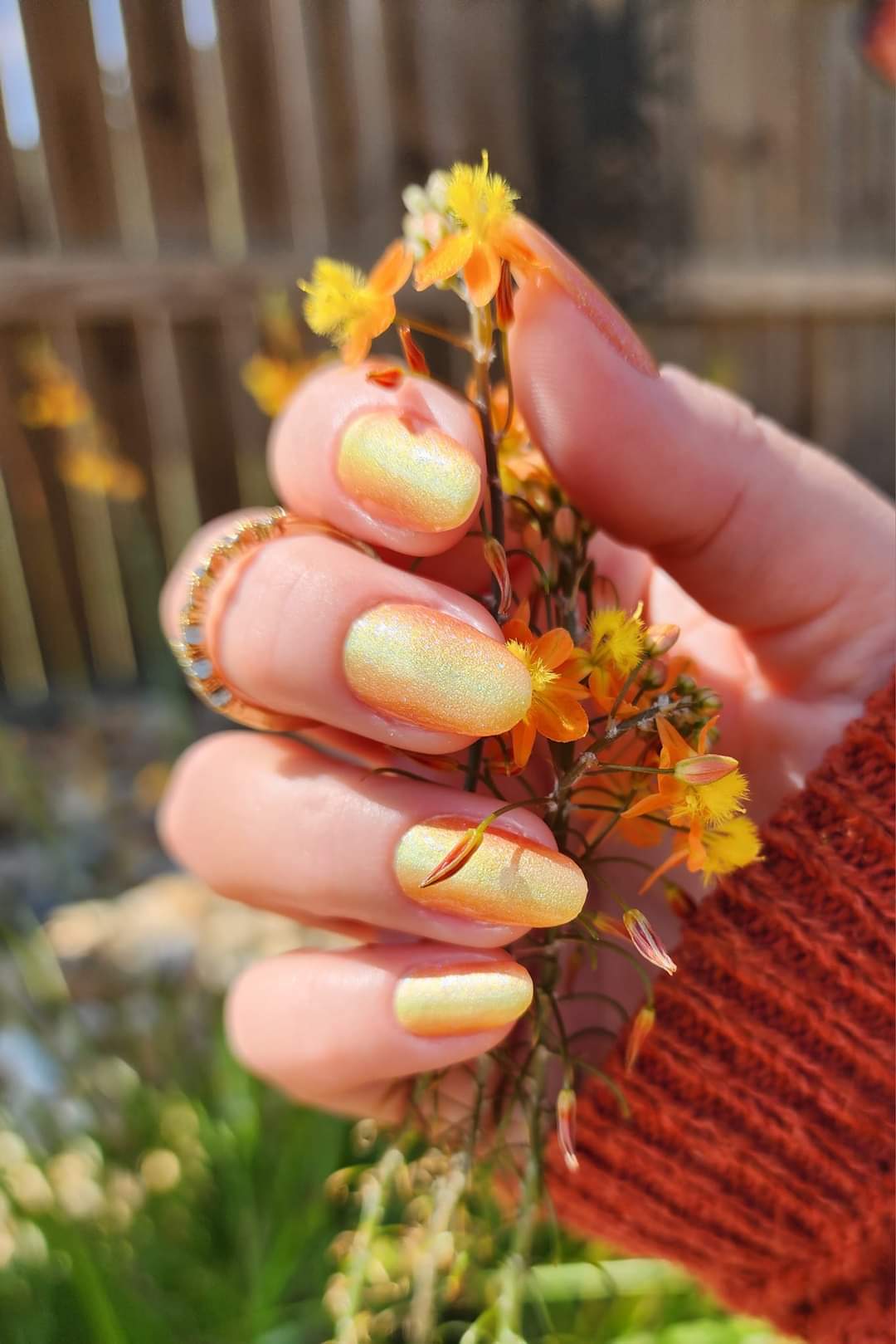 Golden Hour
