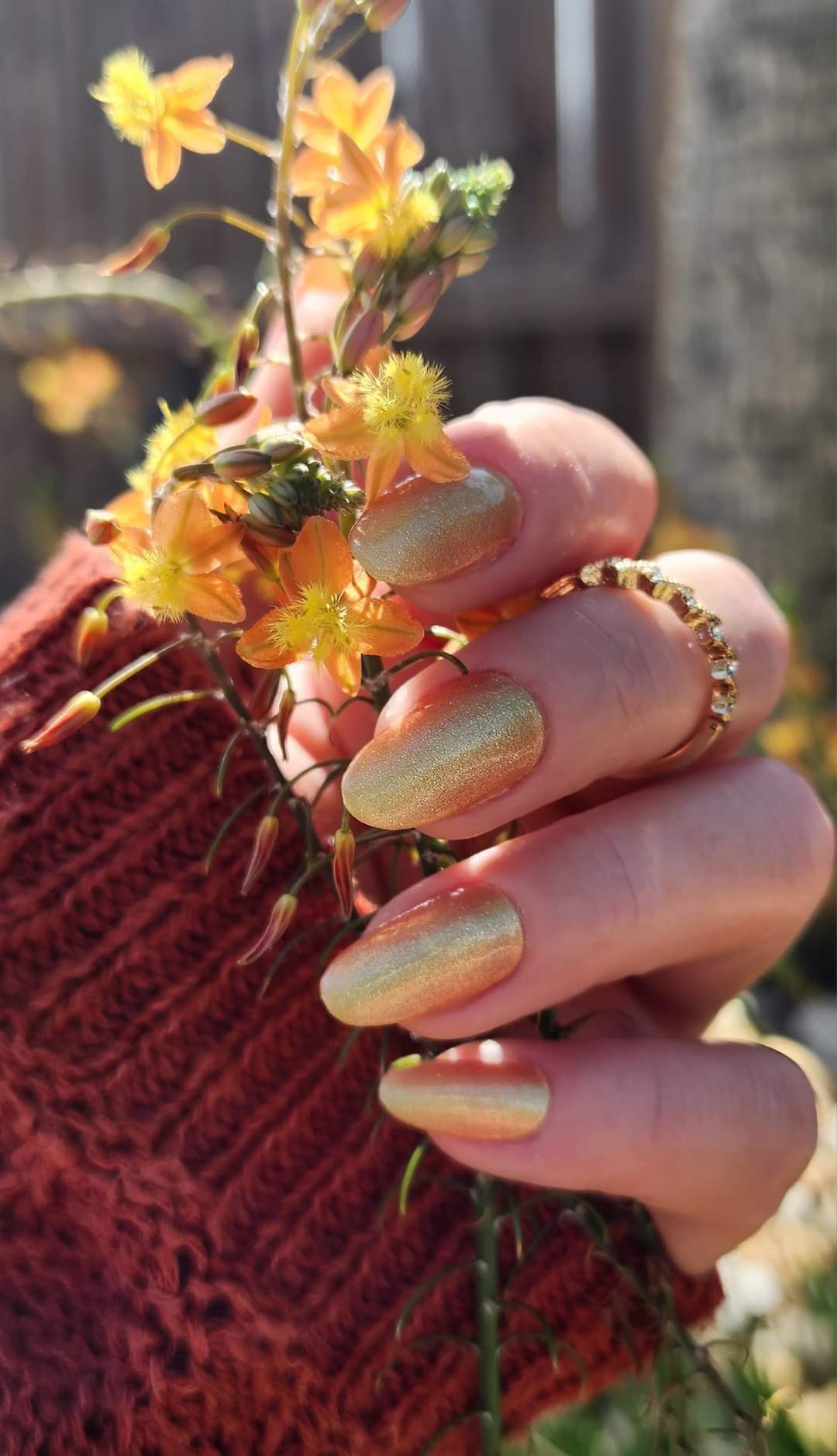 Golden Hour