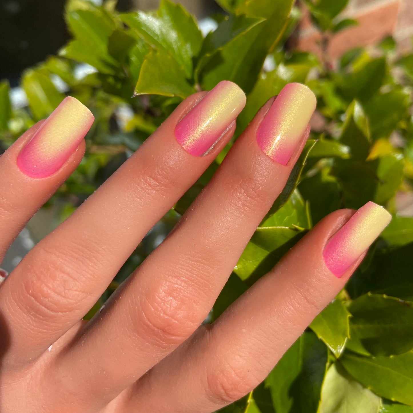 Golden Coral