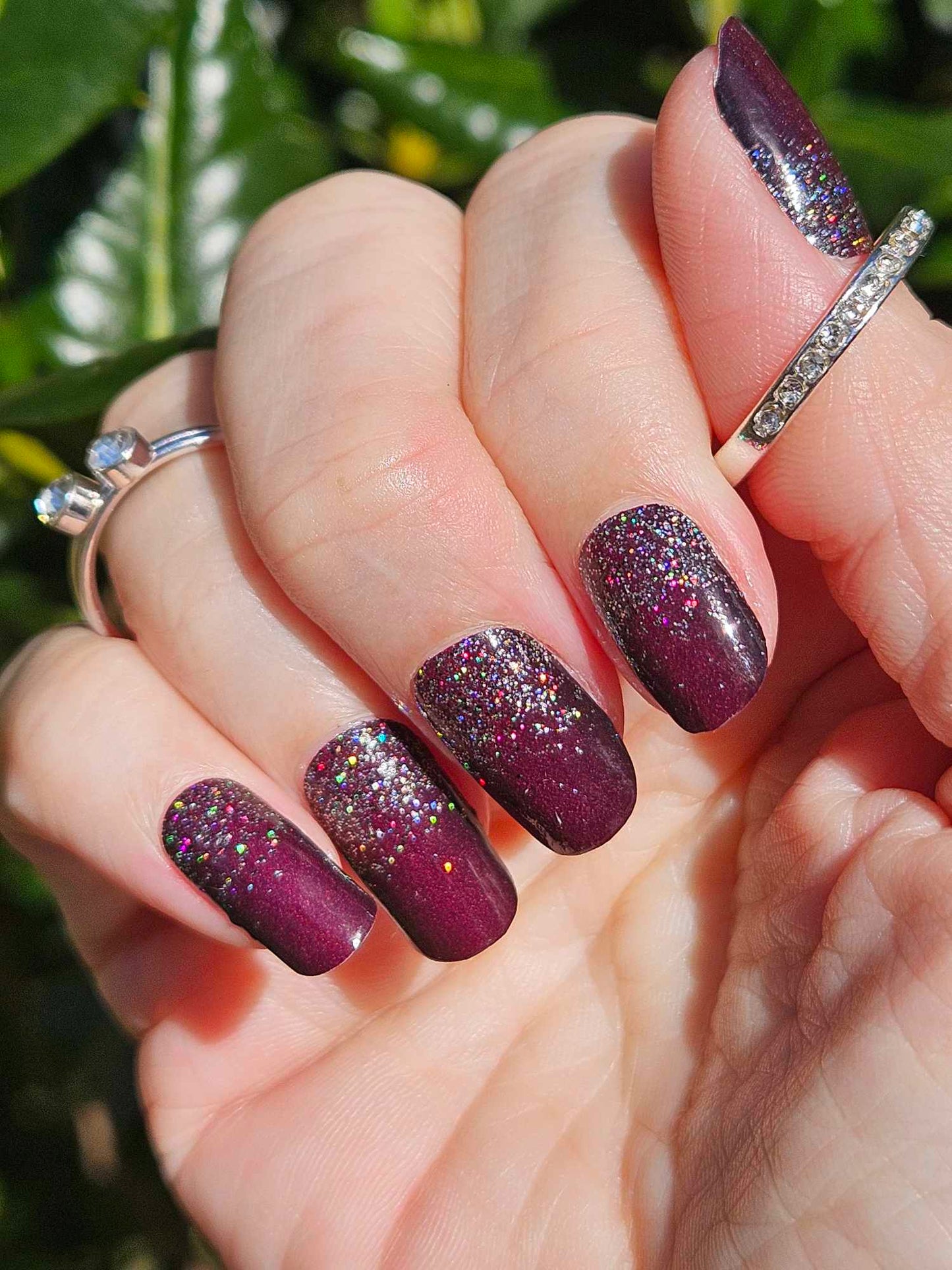Merlot