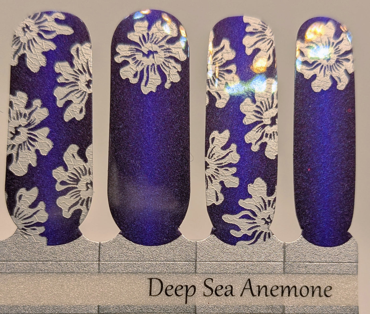 Deep Sea Anemone