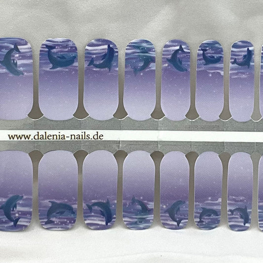 Dolphins-Purple