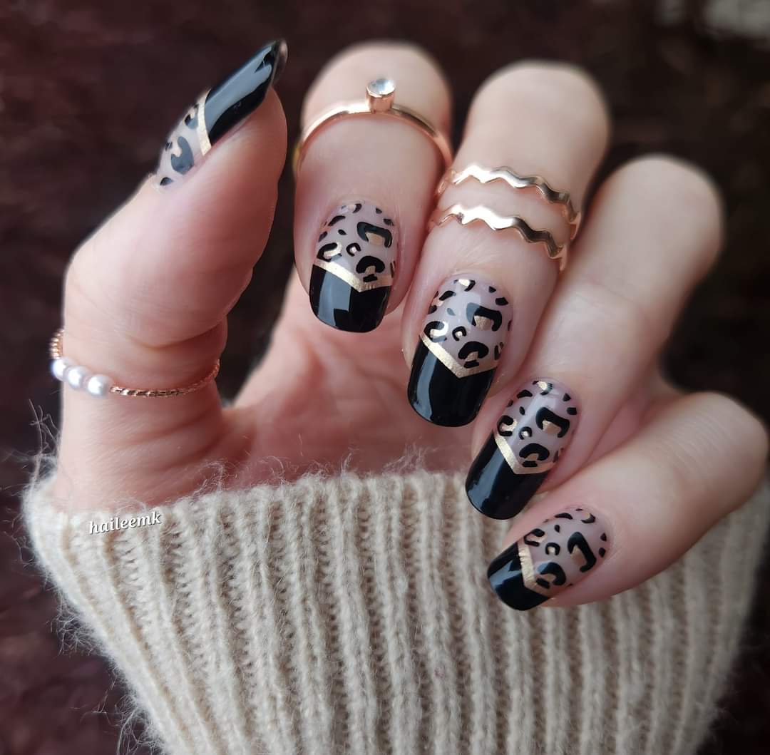 Animal Attraction