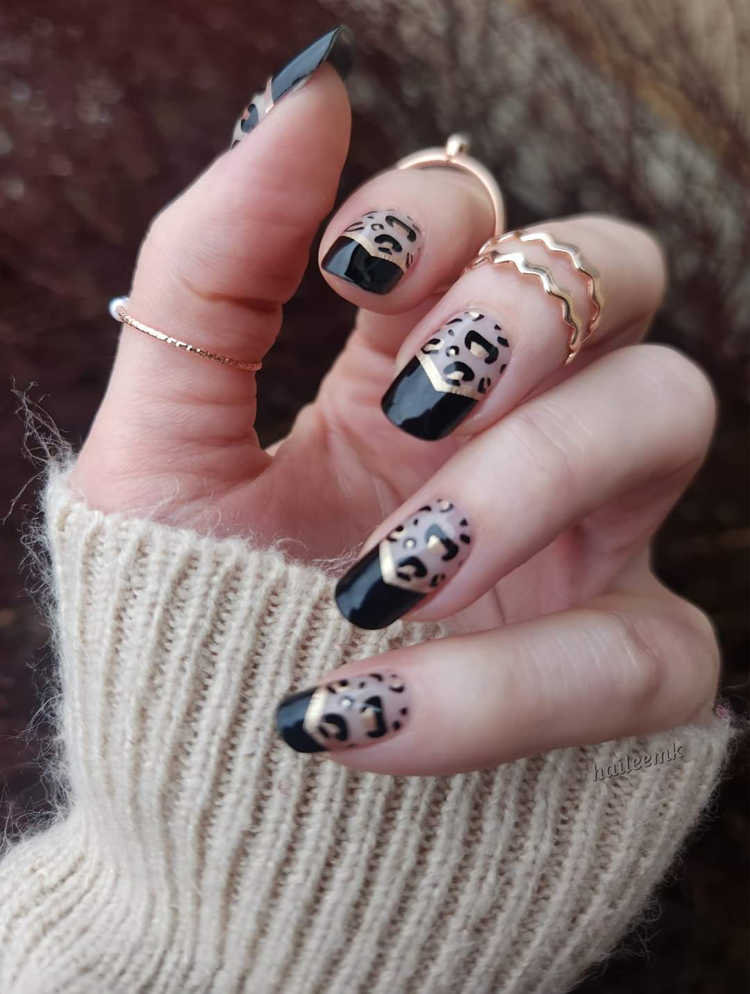 Animal Attraction