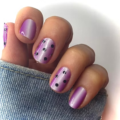 Holo Net