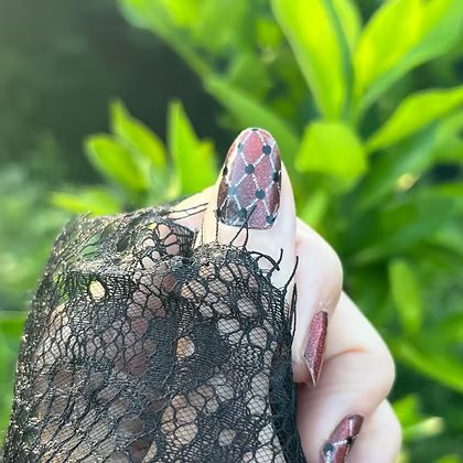Holo Net