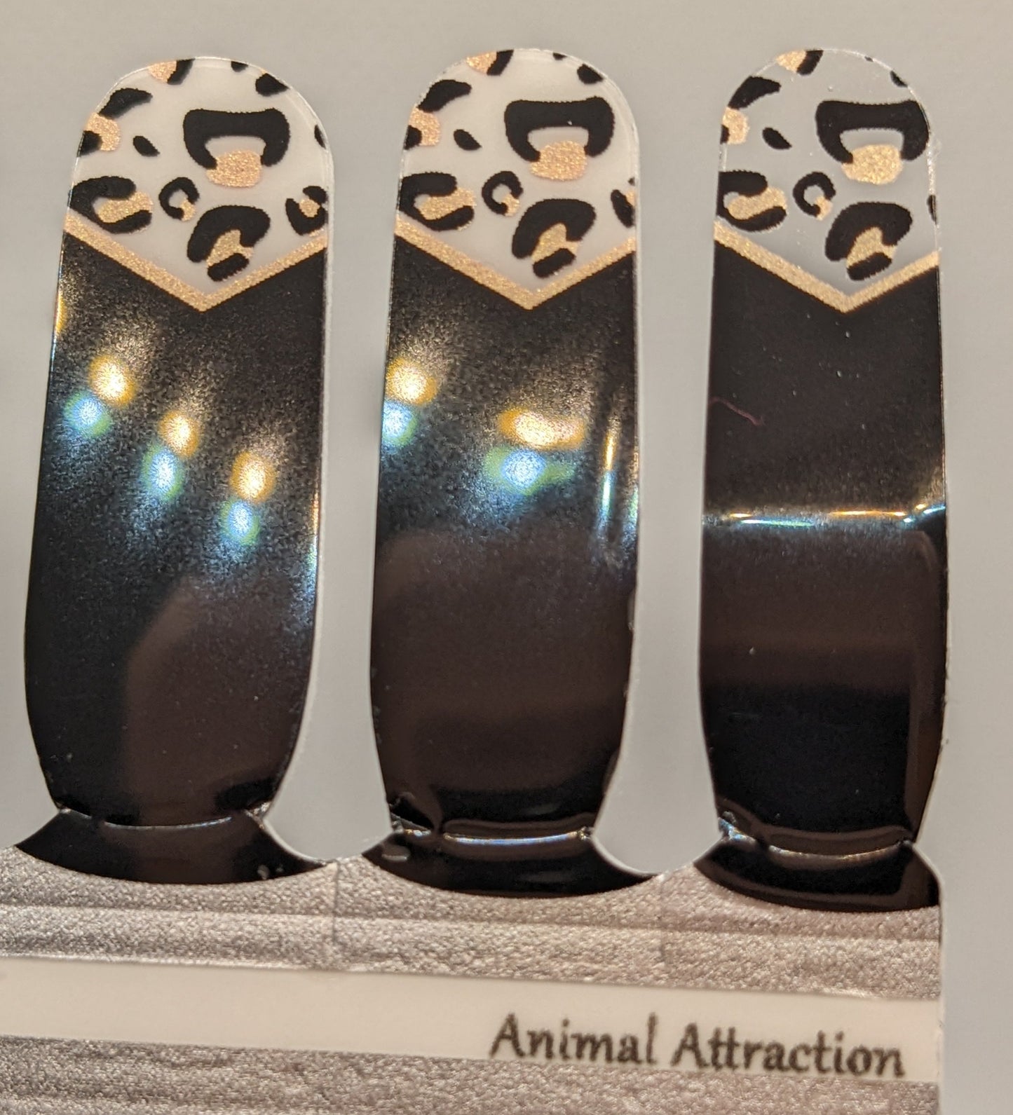 Animal Attraction