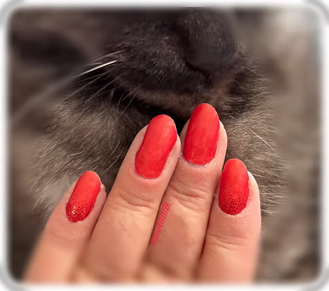 Lovely Red