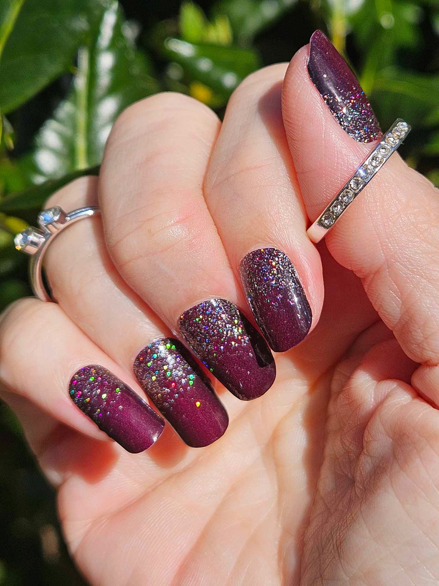 Merlot
